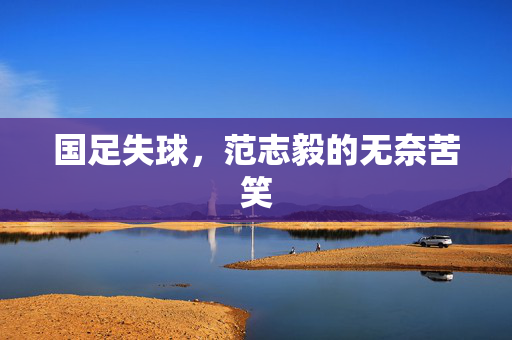 国足失球，范志毅的无奈苦笑