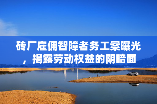 砖厂雇佣智障者务工案曝光，揭露劳动权益的阴暗面