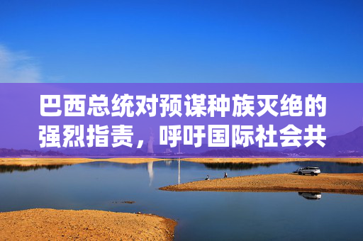 巴西总统对预谋种族灭绝的强烈指责，呼吁国际社会共同关注与行动