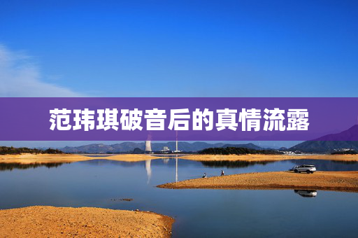 范玮琪破音后的真情流露