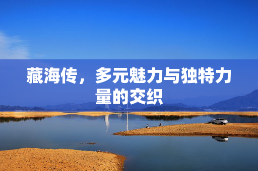 藏海传，多元魅力与独特力量的交织