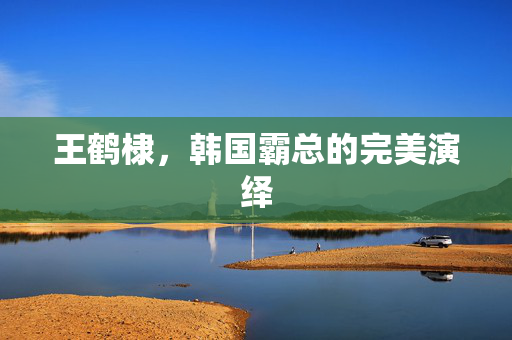 王鹤棣，韩国霸总的完美演绎