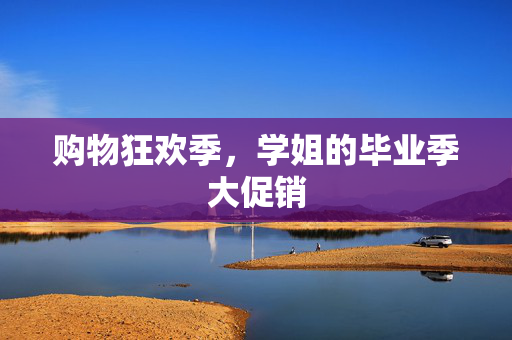 购物狂欢季，学姐的毕业季大促销