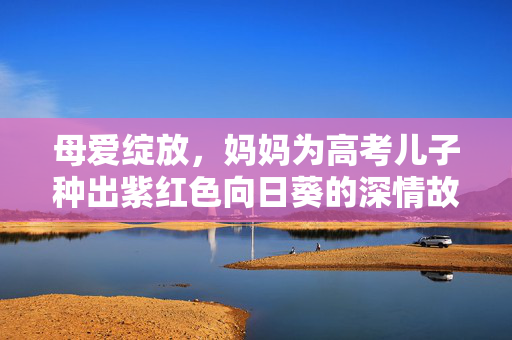 母爱绽放，妈妈为高考儿子种出紫红色向日葵的深情故事