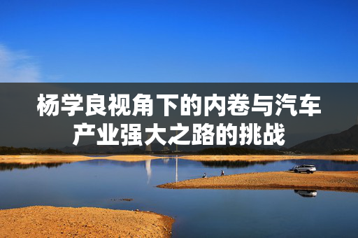 杨学良视角下的内卷与汽车产业强大之路的挑战