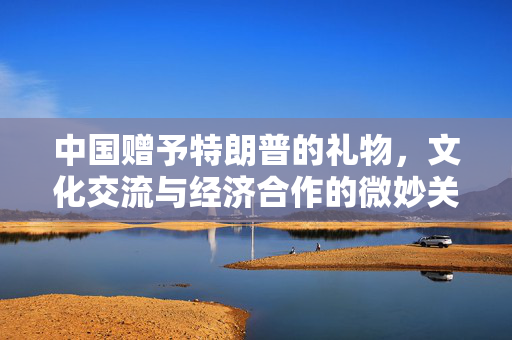 中国赠予特朗普的礼物，文化交流与经济合作的微妙关系揭秘