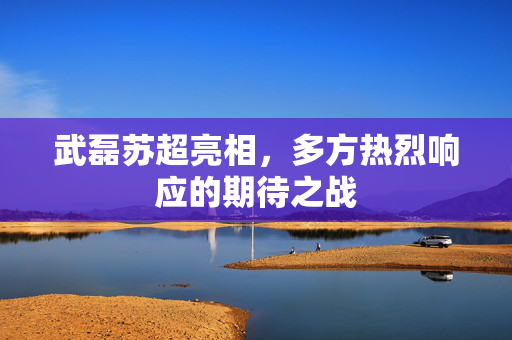 武磊苏超亮相，多方热烈响应的期待之战