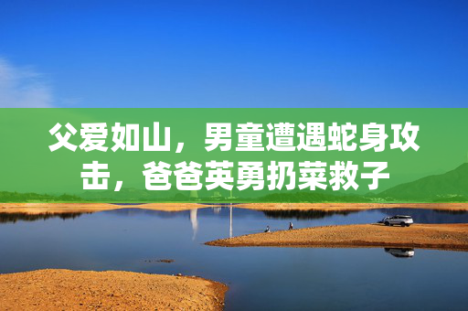 父爱如山，男童遭遇蛇身攻击，爸爸英勇扔菜救子
