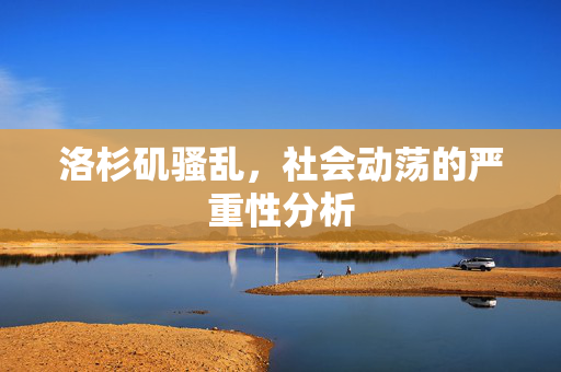 洛杉矶骚乱，社会动荡的严重性分析