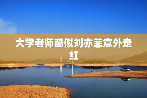 大学老师酷似刘亦菲意外走红