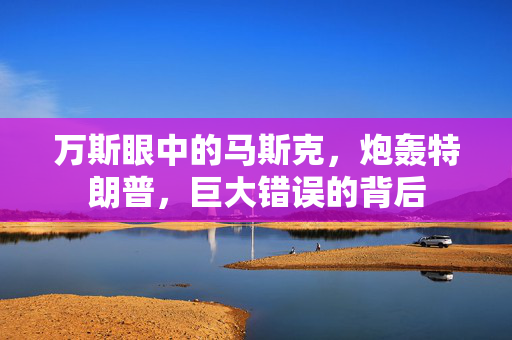 万斯眼中的马斯克，炮轰特朗普，巨大错误的背后