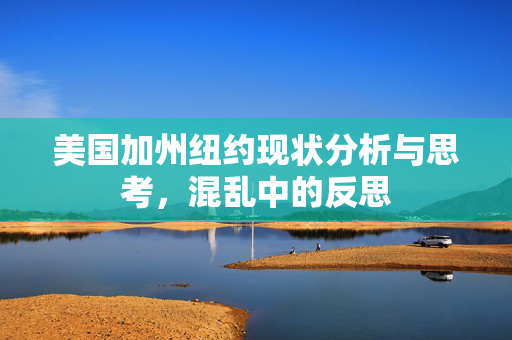 美国加州纽约现状分析与思考，混乱中的反思