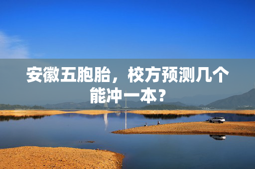 安徽五胞胎，校方预测几个能冲一本？