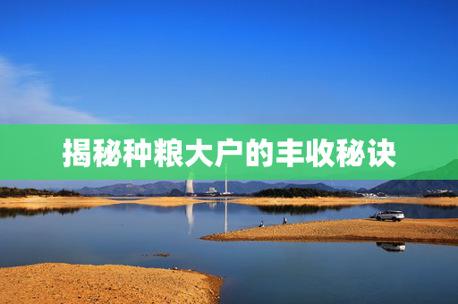 揭秘种粮大户的丰收秘诀