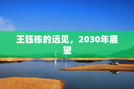 王钰栋的远见，2030年展望
