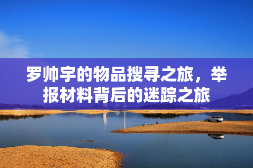 罗帅宇的物品搜寻之旅，举报材料背后的迷踪之旅