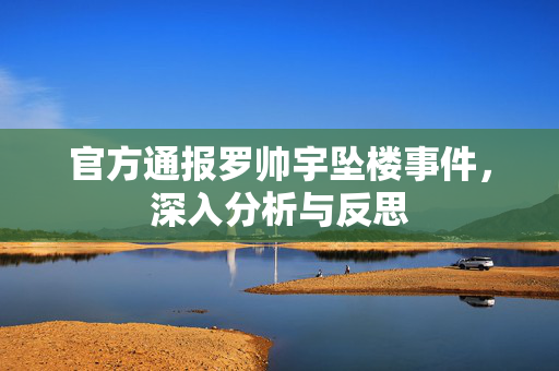 官方通报罗帅宇坠楼事件，深入分析与反思