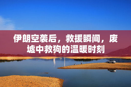 伊朗空袭后，救援瞬间，废墟中救狗的温暖时刻