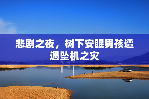 悲剧之夜，树下安眠男孩遭遇坠机之灾