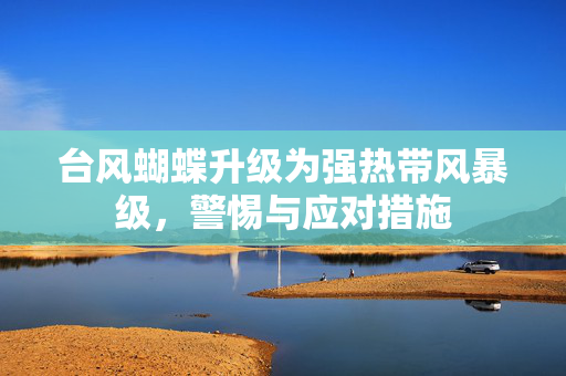 台风蝴蝶升级为强热带风暴级，警惕与应对措施