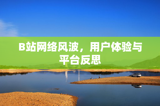 B站网络风波，用户体验与平台反思