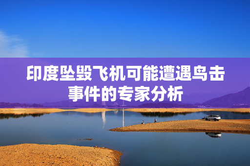 印度坠毁飞机可能遭遇鸟击事件的专家分析