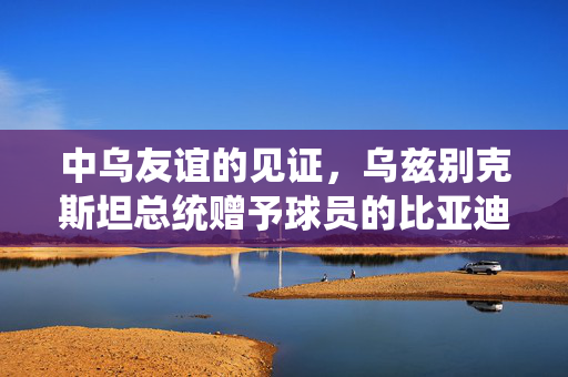 中乌友谊的见证，乌兹别克斯坦总统赠予球员的比亚迪汽车