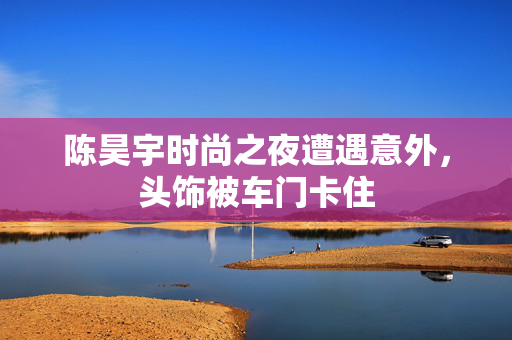 陈昊宇时尚之夜遭遇意外，头饰被车门卡住