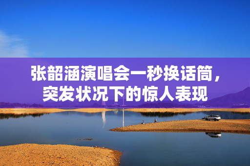 张韶涵演唱会一秒换话筒，突发状况下的惊人表现