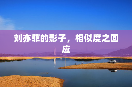 刘亦菲的影子，相似度之回应