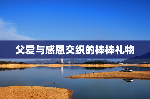 父爱与感恩交织的棒棒礼物