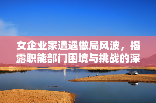 女企业家遭遇做局风波，揭露职能部门困境与挑战的深度解析
