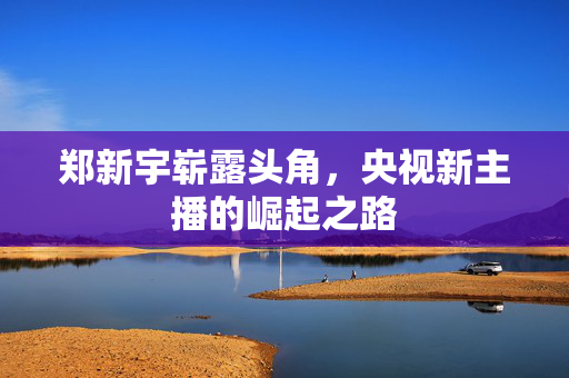 郑新宇崭露头角，央视新主播的崛起之路