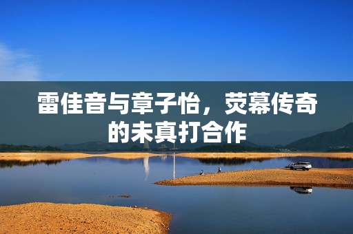 雷佳音与章子怡，荧幕传奇的未真打合作