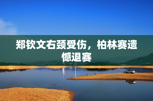 郑钦文右颈受伤，柏林赛遗憾退赛