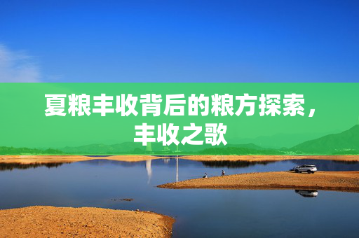 夏粮丰收背后的粮方探索，丰收之歌