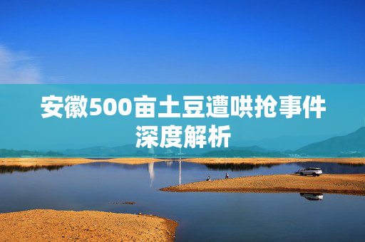 安徽500亩土豆遭哄抢事件深度解析