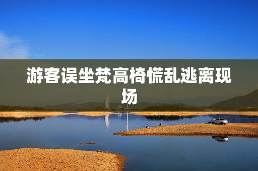 游客误坐梵高椅慌乱逃离现场