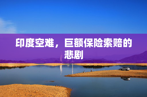 印度空难，巨额保险索赔的悲剧