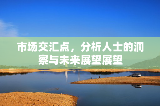 市场交汇点，分析人士的洞察与未来展望展望