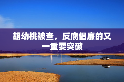 胡幼桃被查，反腐倡廉的又一重要突破