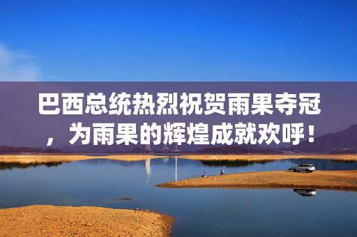 巴西总统热烈祝贺雨果夺冠，为雨果的辉煌成就欢呼！