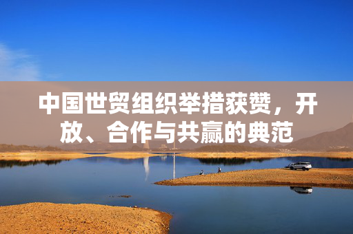 中国世贸组织举措获赞，开放、合作与共赢的典范