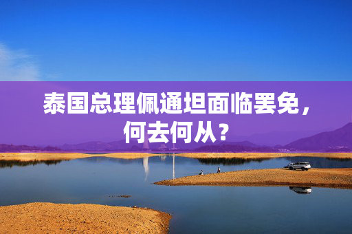 泰国总理佩通坦面临罢免，何去何从？