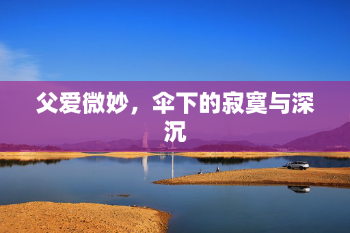 父爱微妙，伞下的寂寞与深沉