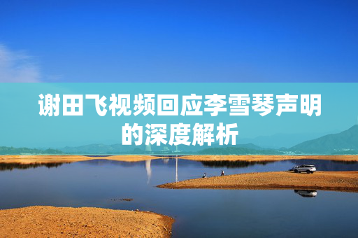 谢田飞视频回应李雪琴声明的深度解析