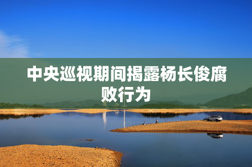 中央巡视期间揭露杨长俊腐败行为