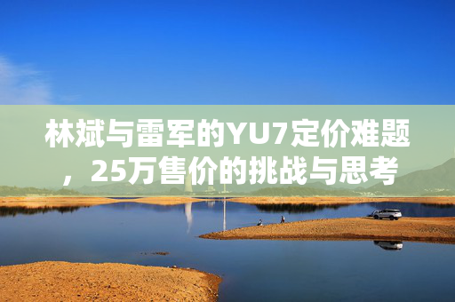 林斌与雷军的YU7定价难题，25万售价的挑战与思考