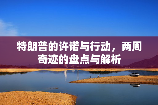 特朗普的许诺与行动，两周奇迹的盘点与解析
