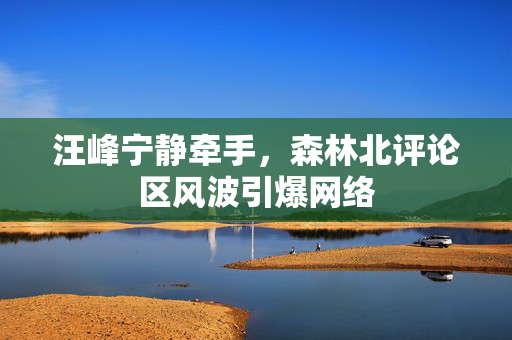 汪峰宁静牵手，森林北评论区风波引爆网络